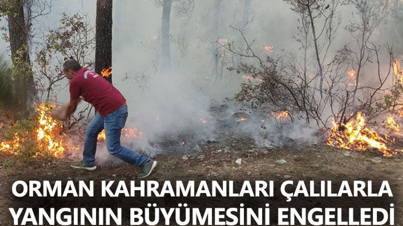 Orman kahramanları çalılarla yangının büyümesini engelledi
