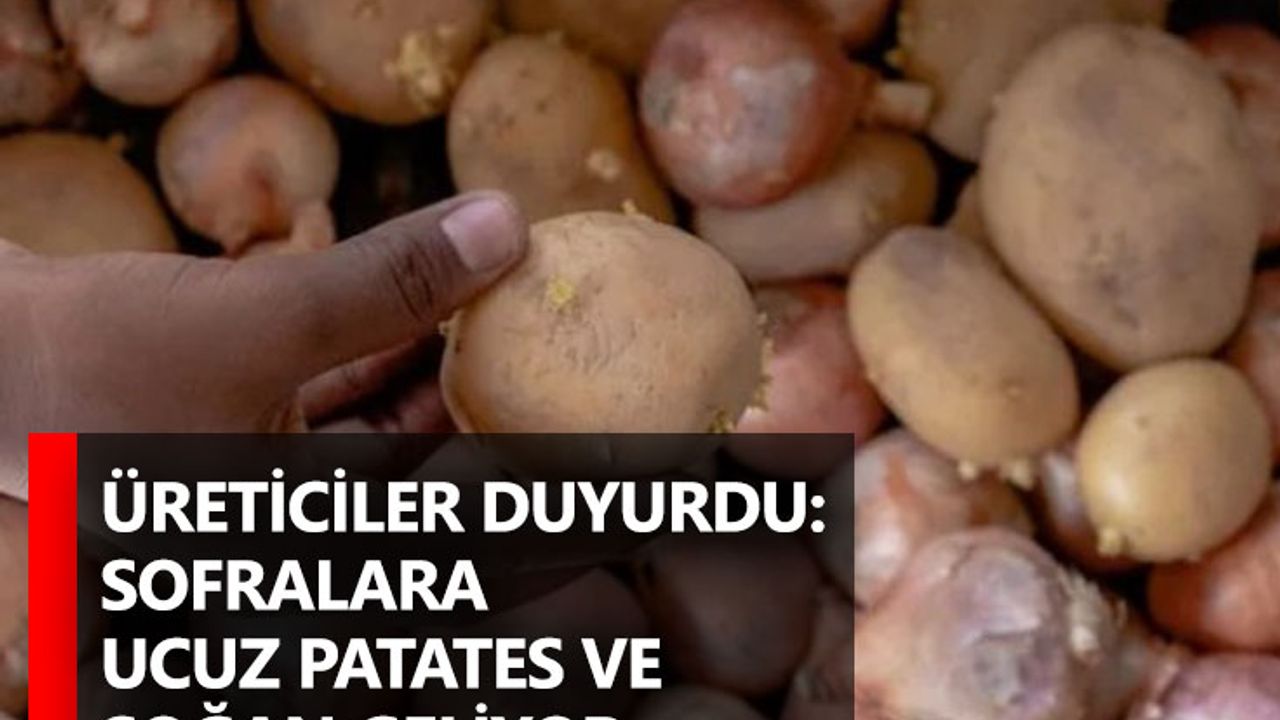 Üreticiler duyurdu: Sofralara ucuz patates ve soğan geliyor