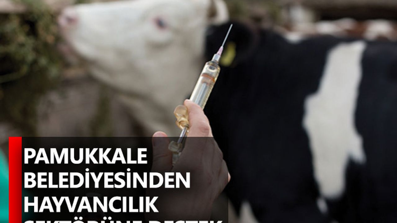 Pamukkale Belediyesinden Hayvancılık Sektörüne Destek