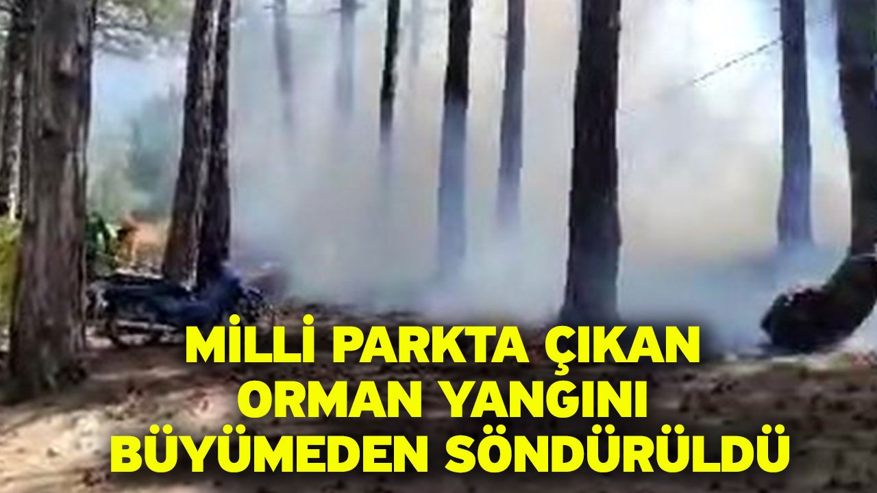 Milli Parkta Çıkan Orman Yangını Büyümeden Söndürüldü