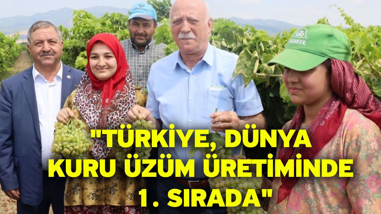 "Türkiye, Dünya kuru üzüm üretiminde 1. Sırada"