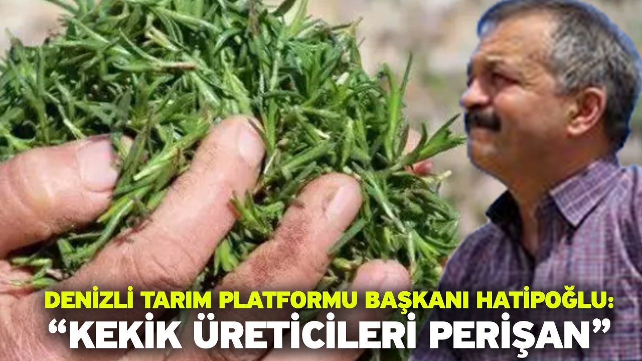 Denizli Tarım Platformu Başkanı Hatipoğlu: “Kekik üreticileri perişan”