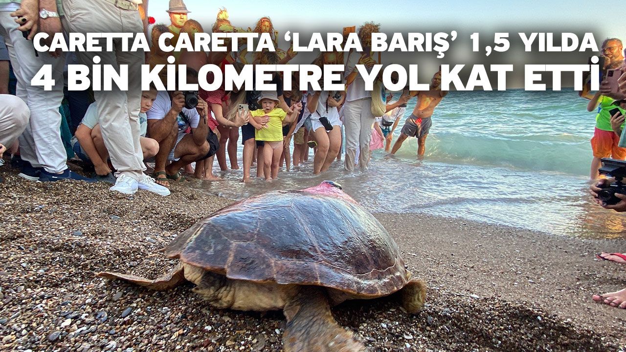 Caretta Caretta ‘Lara Barış’ 1,5 yılda 4 bin kilometre yol kat etti