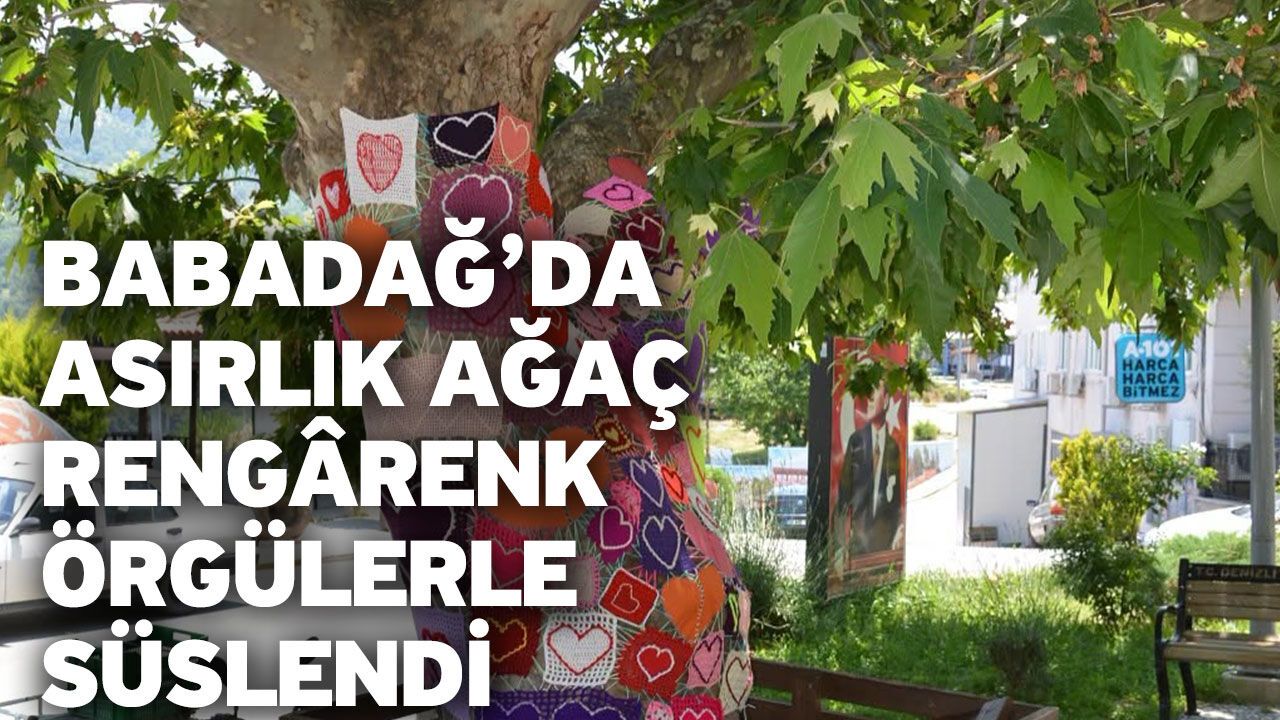 Babadağ’da asırlık ağaç rengârenk örgülerle süslen