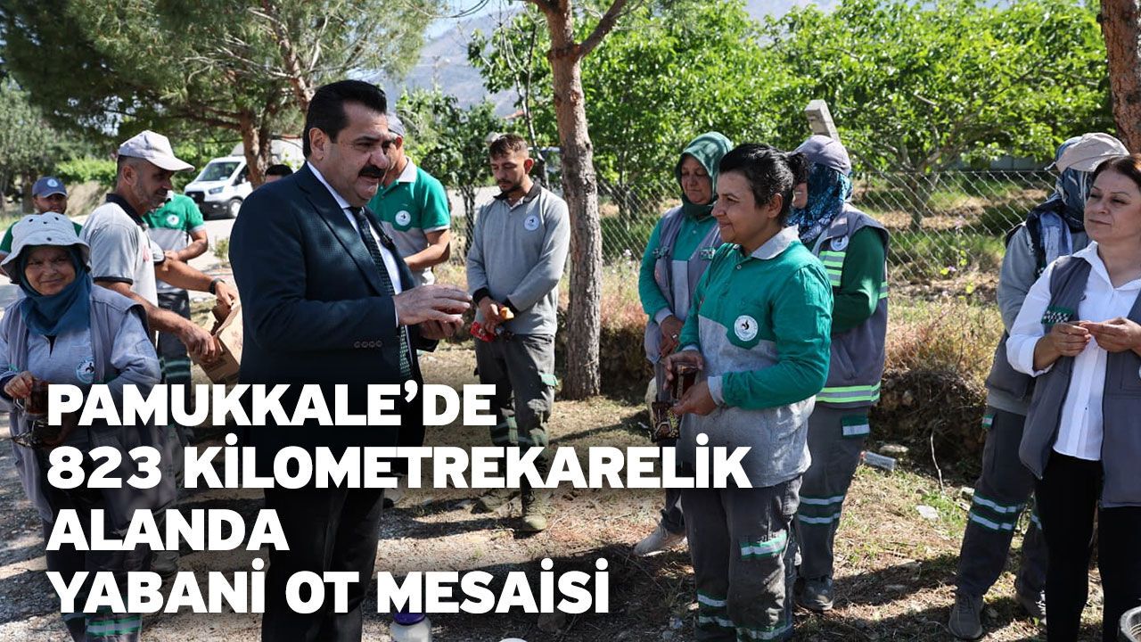 Pamukkale’de 823 Kilometrekarelik Alanda Yabani Ot