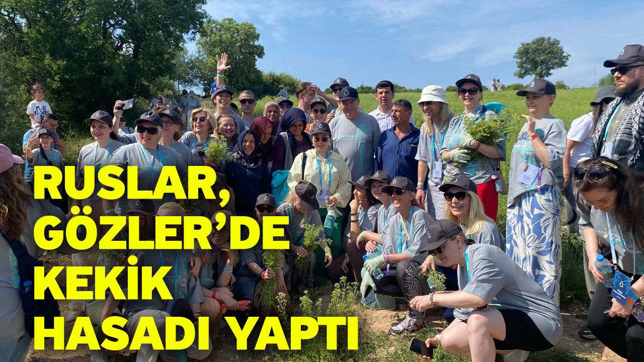 Ruslar, Gözler’de kekik hasadı yaptı