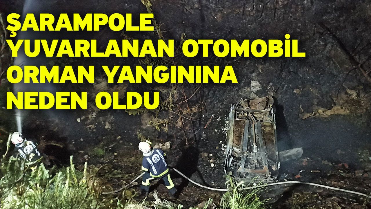 Şarampole yuvarlanan otomobil orman yangınına neden oldu