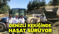 Denizli Kekiğinde Hasat Sürüyor