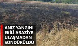 Anız yangını ekili araziye ulaşmadan söndürüldü