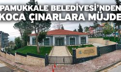 Pamukkale Belediyesi’nden Koca Çınarlara Müjde