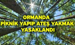 Denizli’de Ormanlara Giriş Yasaklandı