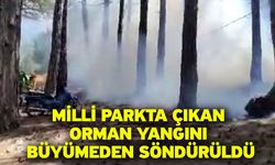 Milli Parkta Çıkan Orman Yangını Büyümeden Söndürüldü
