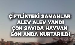 Çiftlikteki samanlar alev alev yandı, çok sayıda hayvan son anda kurtarıldı