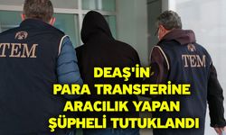 DEAŞ'in para transferine aracılık yapan şüpheli tutuklandı