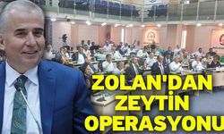 Zolan'dan Zeytin Operasyonu