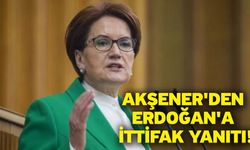 Akşener'den Erdoğan'a ittifak yanıtı!