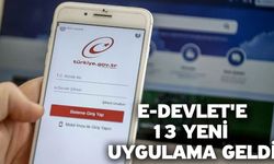 e-Devlet'e 13 Yeni Uygulama Geldi