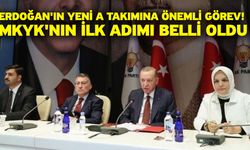 Erdoğan'ın yeni A takımına önemli görev! MKYK'nın ilk adımı belli oldu