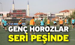 Genç horozlar seri peşinde