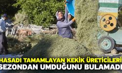 Hasadı tamamlayan kekik üreticileri sezondan umduğunu bulamadı