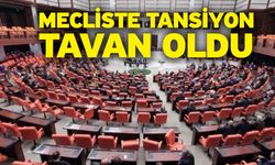 Mecliste tansiyon tavan oldu