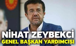 Zeybekci Genel Başkan Yardımcısı