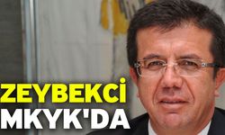 Zeybekci MKYK'da