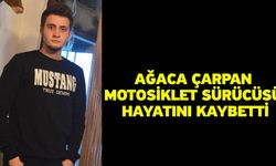 Ağaca çarpan motosiklet sürücüsü hayatını kaybetti