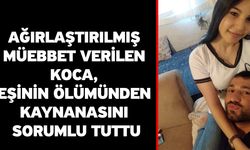 Ağırlaştırılmış müebbet verilen koca, eşinin ölümünden kaynanasını sorumlu tuttu