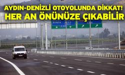 Aydın-Denizli otoyolunda dikkat! Her an önünüze çıkabilir