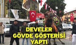 Develer gövde gösterisi yaptı