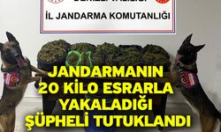 Jandarmanın 20 kilo esrarla yakaladığı şüpheli tutuklandı