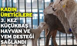 Merkezefendi’de hibe edilen hayvan varlığı üç katına çıktı