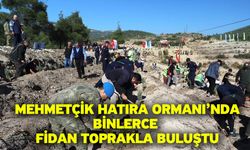 Mehmetçik Hatıra Ormanı’nda binlerce fidan toprakla buluştu