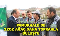 Pamukkale’de 3202 Ağaç Daha Toprakla Buluştu