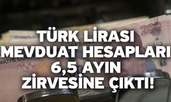 Türk Lirası mevduat hesapları 6,5 ayın zirvesine çıktı!