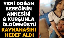 Yeni doğan bebeğinin annesini 8 kurşunla öldürmüştü! Kaynanasını hedef aldı