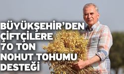 Nohut tohumu destek müracaatları başladı