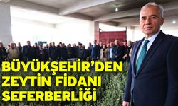 11 ilçede 1.000 üreticiye 80.000 Gemlik zeytin fidanı