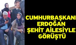 Cumhurbaşkanı Erdoğan şehit ailesiyle görüştü