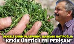 Denizli Tarım Platformu Başkanı Hatipoğlu: “Kekik üreticileri perişan”