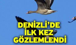 Denizli’de ilk kez gözlemlendi