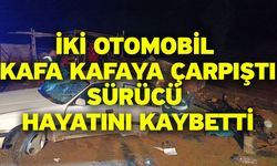 İki otomobil kafa kafaya çarpıştı! Sürücü hayatını kaybetti