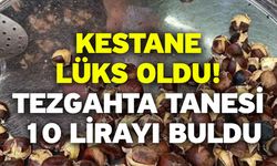 Kestane lüks oldu! Tezgahta tanesi 10 lirayı buldu