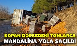 Kopan dorsedeki tonlarca mandalina yola saçıldı