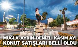 Muğla-Aydın-Denizli Kasım Ayı Konut Satışları Belli Oldu