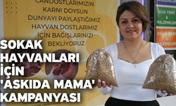 Sokak hayvanları için 'Askıda mama' kampanyası