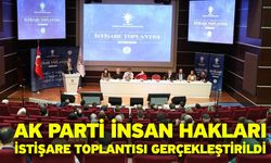 AK Parti İnsan Hakları İstişare Toplantısı gerçekleştirildi