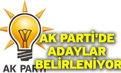 Ak Parti'de Adaylar Belirleniyor