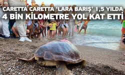 Caretta Caretta ‘Lara Barış’ 1,5 yılda 4 bin kilometre yol kat etti